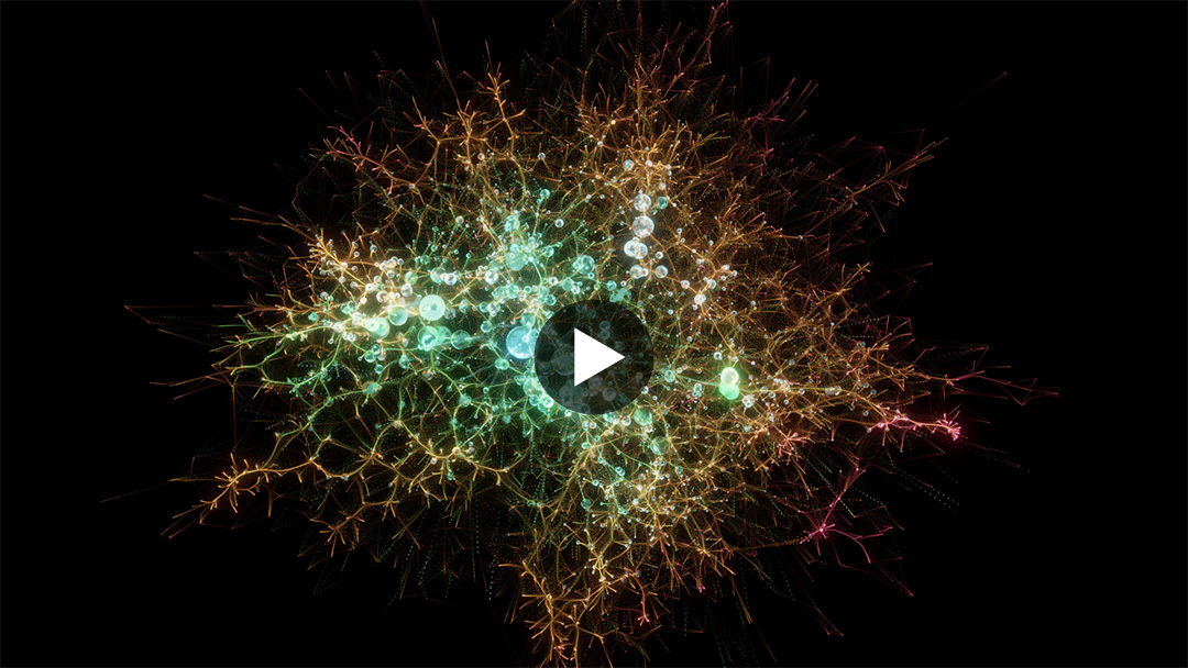 Protein-Protein Interaction Network