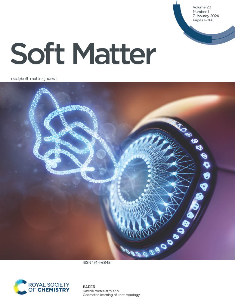 Michieletto_lab_soft_matter_cover