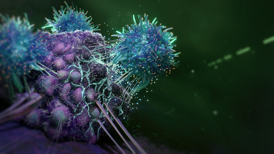 T-cell Attacking Cancer